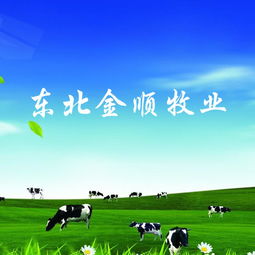 長(zhǎng)春做網(wǎng)站公司 網(wǎng)站建設(shè) 網(wǎng)站設(shè)計(jì) 微信平臺(tái)制作 億人科技13756566613,18946773937,18186893973